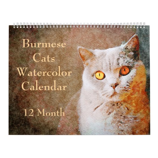 12ヶ月素晴らしビルマ猫の水彩画 カレンダー (カバー)