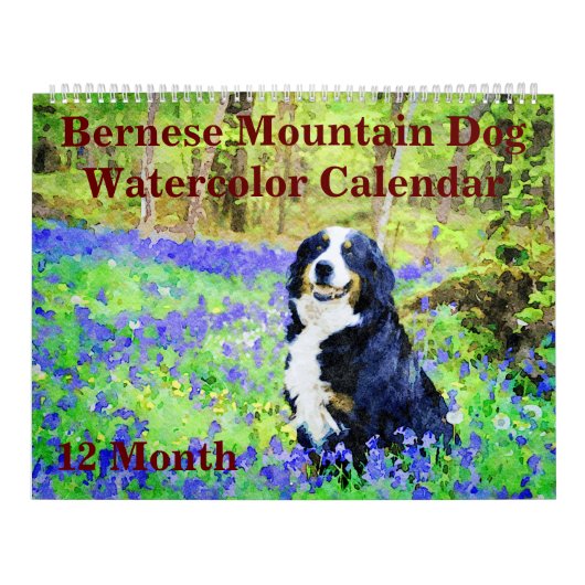 12ヶ月Regal Bernese Mountain Dogs水色 カレンダー (カバー)