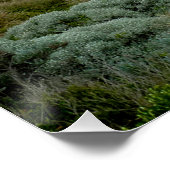 12使徒オーストラリア ポスター (コーナー)