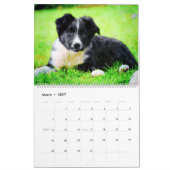 12匹の月のボーダーコリーの牧羊犬の水彩画の芸術 カレンダー (3月 2027)