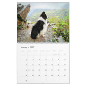12匹の月のボーダーコリーの牧羊犬の水彩画の芸術 カレンダー (1月 2027)