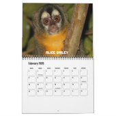 12匹の猿 カレンダー (2月 2026)