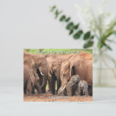 12威厳がある – ワールドエレファントデー シーズンポストカード (スタンド正面)