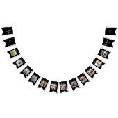 12年制学校写真卒業写真校 バンティングフラッグ (全)