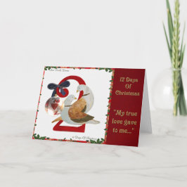 12日のクリスマス2羽のカメの鳩 シーズンカード