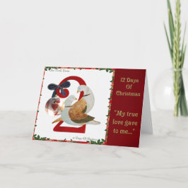 12日のクリスマス2羽のカメの鳩 シーズンカード