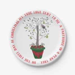 12日のナシ木のクリスマスのヤマウズラ ペーパープレート