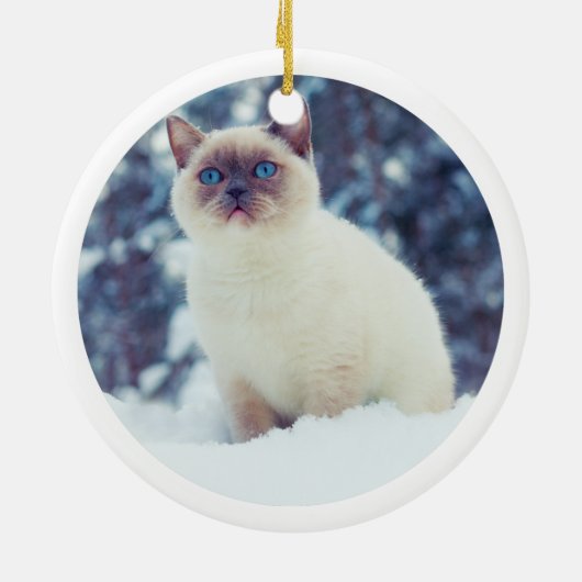 12日のナシ木の写真のCatmasのヤマウズラ セラミックオーナメント (裏面)