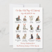 12日間のキャットマス クリスマスキャット シーズンカード (正面)