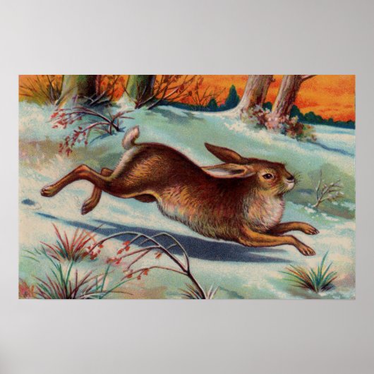 12月うさぎミディアムポスター ポスター (正面)