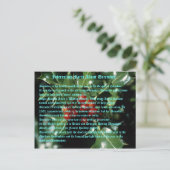 12月についての興味深い事実 ポストカード (スタンド正面)