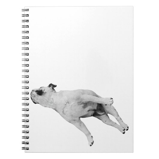 12月の計画、眠る犬 ノートブック (正面)