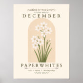 12月の誕生花 ペーパーホワイト ポスター (正面)