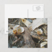 12月カップキノコはがき ポストカード (正面/裏面)