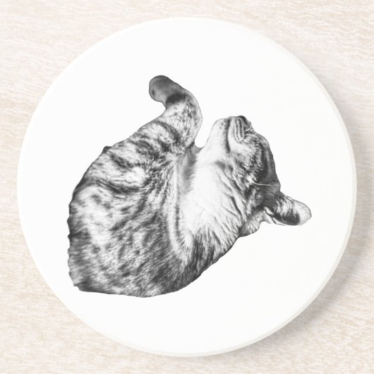 12月ステップのパー コースター (正面)