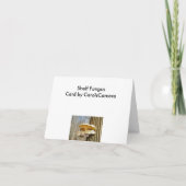 12月棚真菌ノートカード カード (裏面)