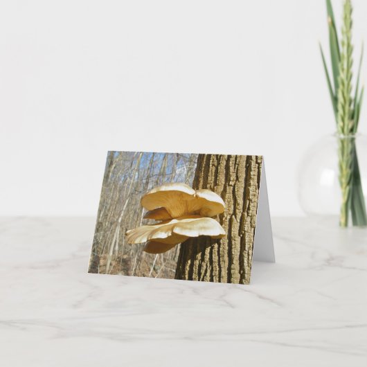 12月棚真菌ノートカード カード (正面)