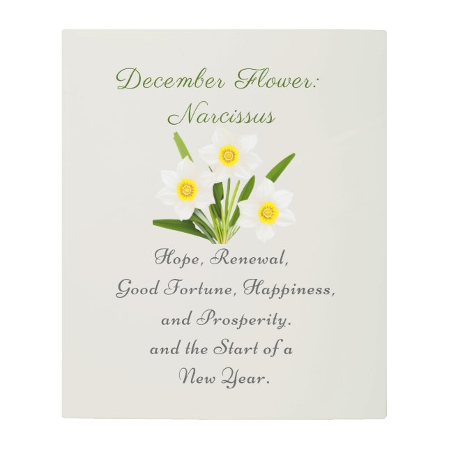 12月誕生月花水仙エレガント メタルプリント (正面)