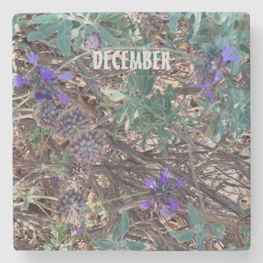 12月 ストーンコースター (正面)