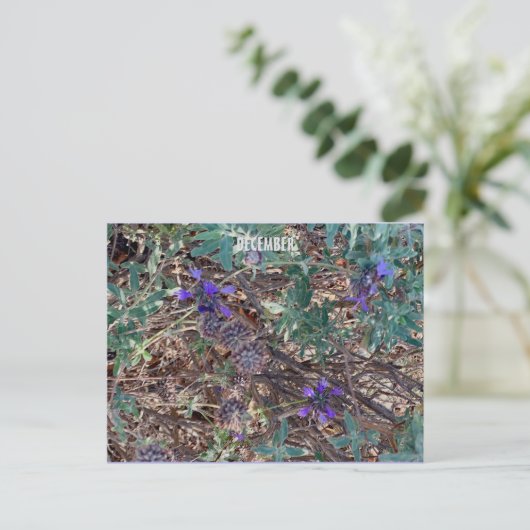 12月 ポストカード (スタンド正面)