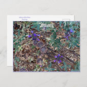 12月 ポストカード (正面/裏面)