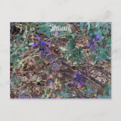 12月 ポストカード (正面)