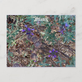 12月 ポストカード