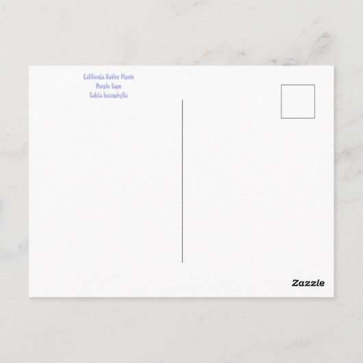 12月 ポストカード (裏面)