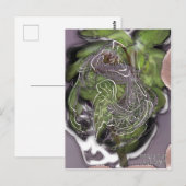 12月 ポストカード (正面/裏面)