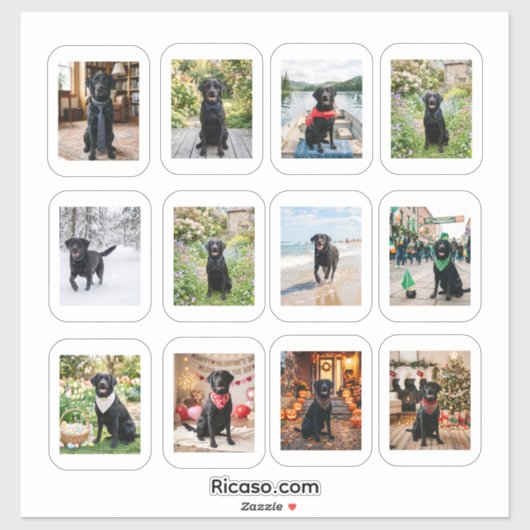 12枚の写真と白いフレーム シール (シート)