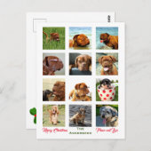 12枚の写真 家族の写真 ✨ コラージュ クリスマス ポストカード (正面/裏面)