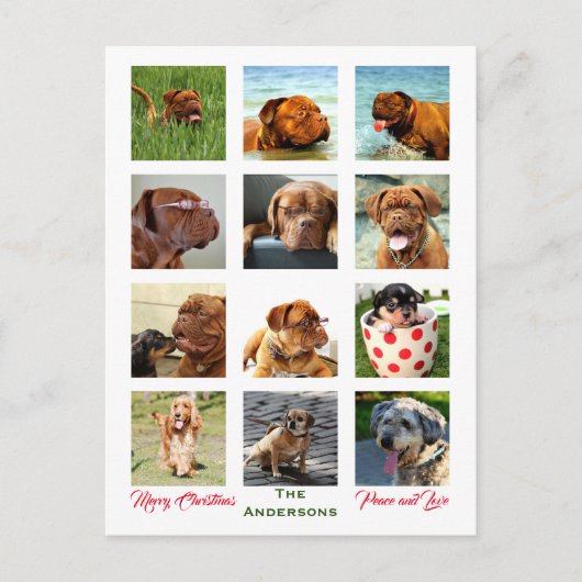 12枚の写真 家族の写真 ✨ コラージュ クリスマス ポストカード (正面)