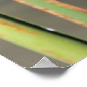 12点付きスキマー1 ポスター (角)