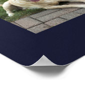 12犬モダンの写真のコラージュパーソナライズされた ポスター (角)