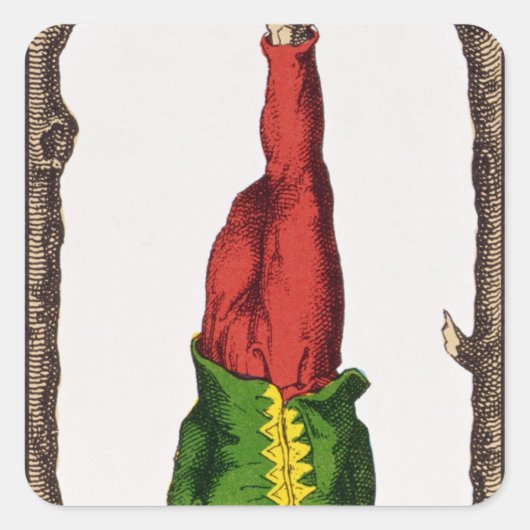 12男つるタロット スクエアシール (正面)