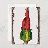 12男つるタロット ポストカード (正面/裏面)