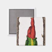 12男つるタロット マグネット (正面/裏面)