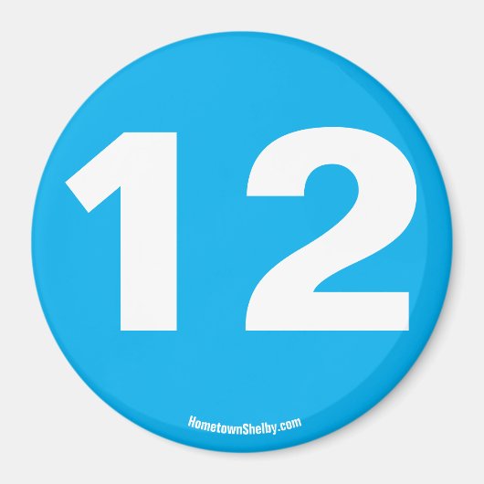 12磁石 マグネット (正面)