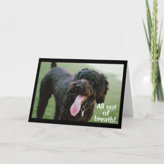 **12祝誕生日** カード