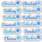 12種類のカスタムゲストリストネームアイスクリスタルスノーフレーク シール (正面)