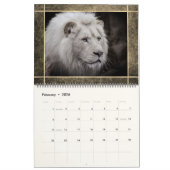 12美しいライオンの写真カレンダー カレンダー (2月 2026)