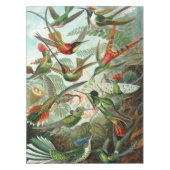 12羽のアメリカのハミング鳥が繁殖色彩の鮮やかす描る テーブルクロス (正面)