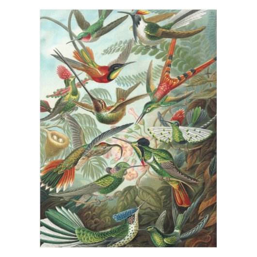 12羽のアメリカのハミング鳥が繁殖色彩の鮮やかす描る テーブルクロス (正面)