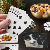 12週間前のコリ縁どー・ワンちゃん トランプ (インサイチュ)