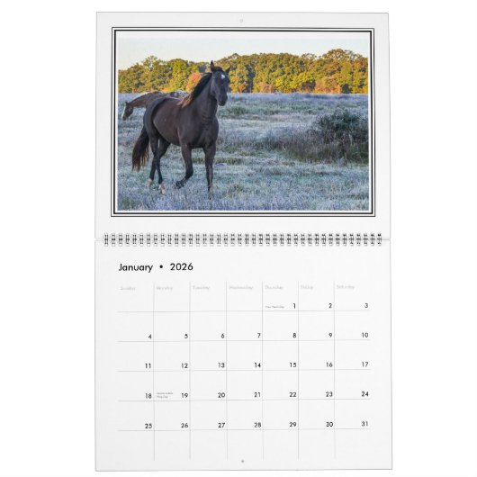 12頭の月の大きい美しい馬のカレンダー カレンダー (1月 2026)