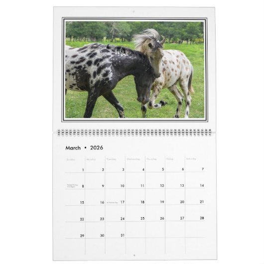 12頭の月の大きい美しい馬のカレンダー カレンダー (3月 2026)