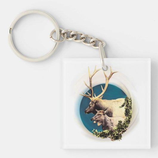 121.シカと後ろ キーホルダー (正面)