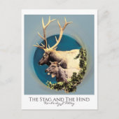 121.シカと後ろ ポストカード (正面)