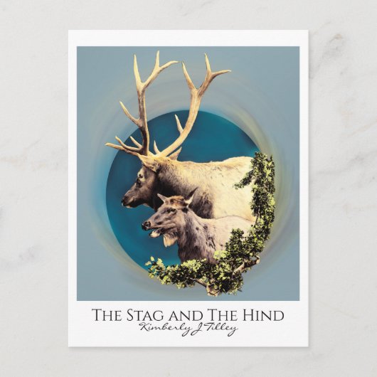 121.シカと後ろ ポストカード (正面)