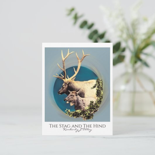 121.シカと後ろ ポストカード (スタンド正面)